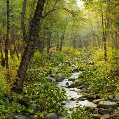 盈彩网手机app下载